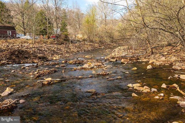 81.5 Acres Hopkins Gap Rd Property Photo 9