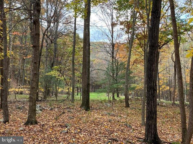 81.5 Acres Hopkins Gap Rd Property Photo 11