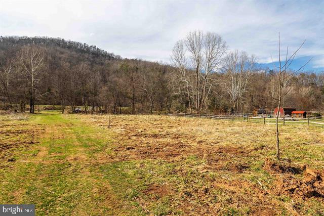 81.5 Acres Hopkins Gap Rd Property Photo 13