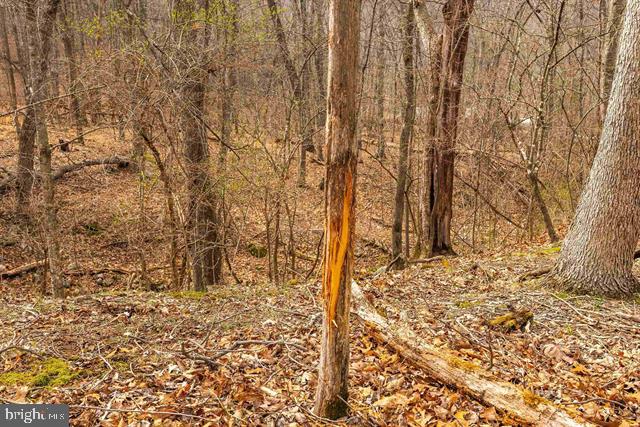 81.5 Acres Hopkins Gap Rd Property Photo 15