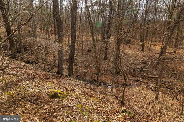 81.5 Acres Hopkins Gap Rd Property Photo 17