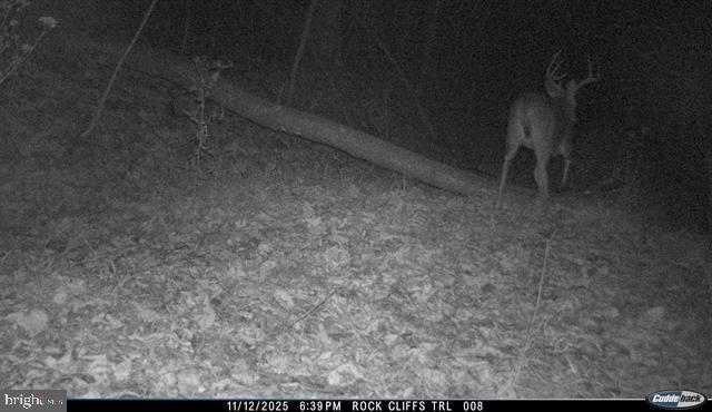 81.5 Acres Hopkins Gap Rd Property Photo 21