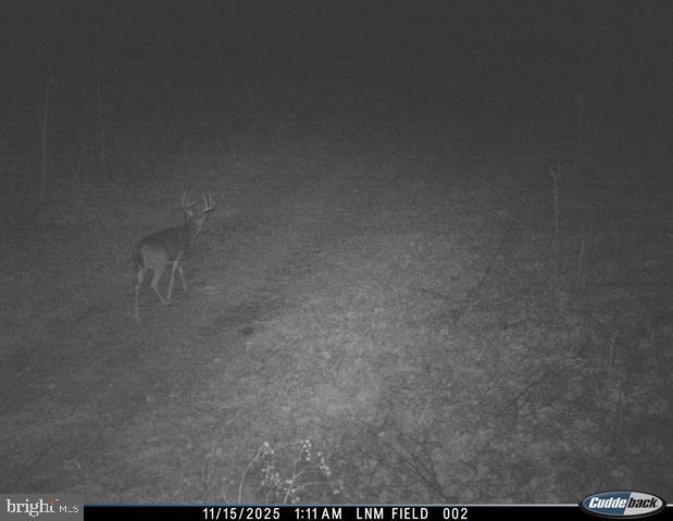 81.5 Acres Hopkins Gap Rd Property Photo 25