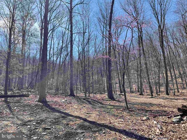 81.5 Acres Hopkins Gap Rd Property Photo 30