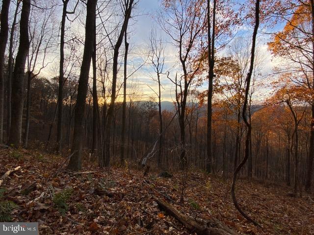 81.5 Acres Hopkins Gap Rd Property Photo 31