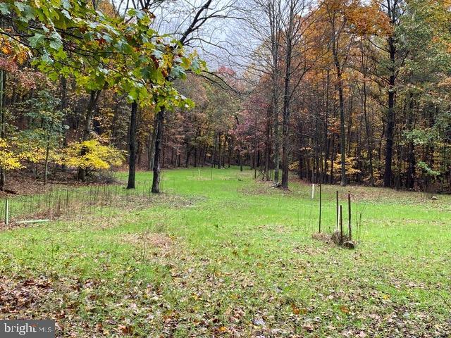81.5 Acres Hopkins Gap Rd Property Photo 32