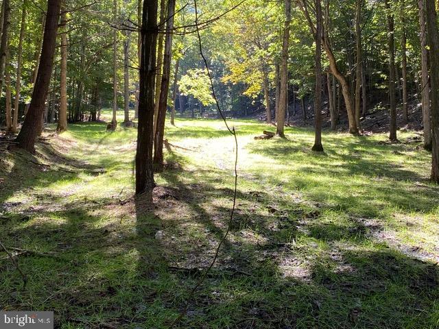 81.5 Acres Hopkins Gap Rd Property Photo 33