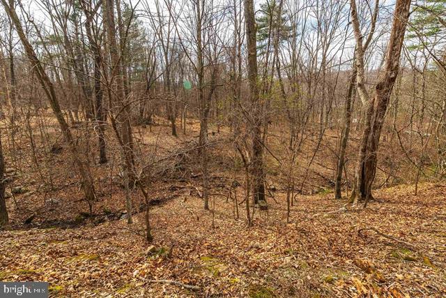81.5 Acres Hopkins Gap Rd Property Photo 40