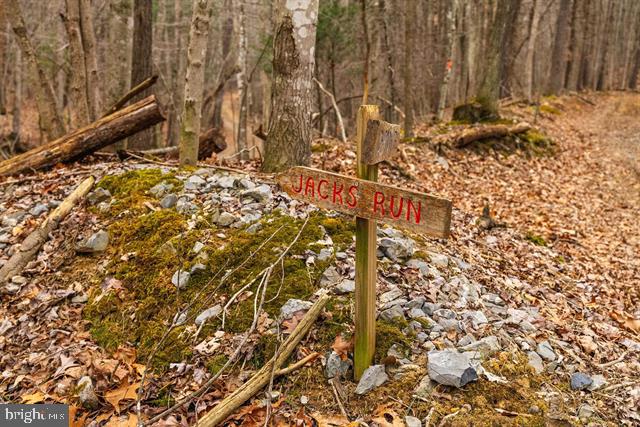 81.5 Acres Hopkins Gap Rd Property Photo 41
