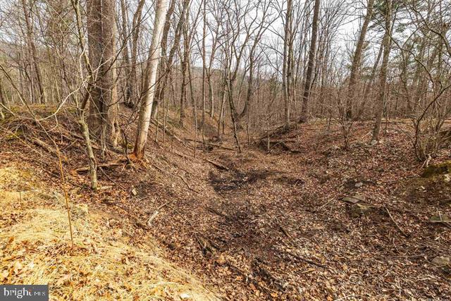 81.5 Acres Hopkins Gap Rd Property Photo 42