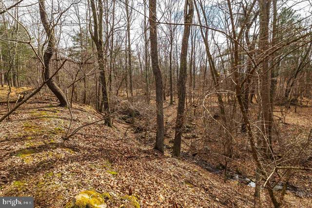 81.5 Acres Hopkins Gap Rd Property Photo 43