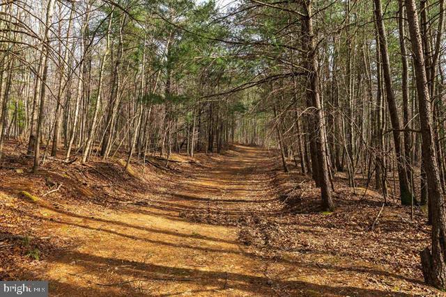 81.5 Acres Hopkins Gap Rd Property Photo 44