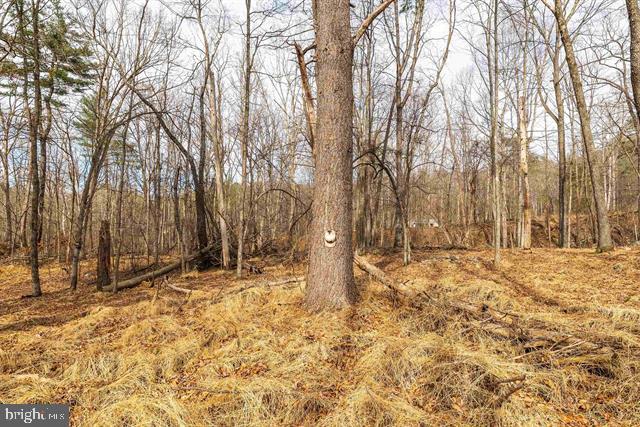81.5 Acres Hopkins Gap Rd Property Photo 45