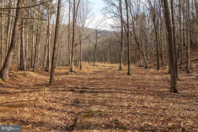 81.5 Acres Hopkins Gap Rd Property Photo 46