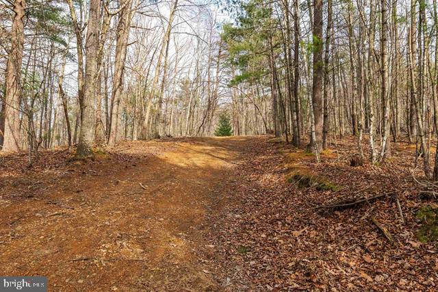81.5 Acres Hopkins Gap Rd Property Photo 47