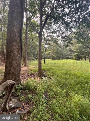 81.5 Acres Hopkins Gap Rd Property Photo 48