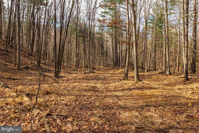 81.5 Acres Hopkins Gap Rd Property Photo 49