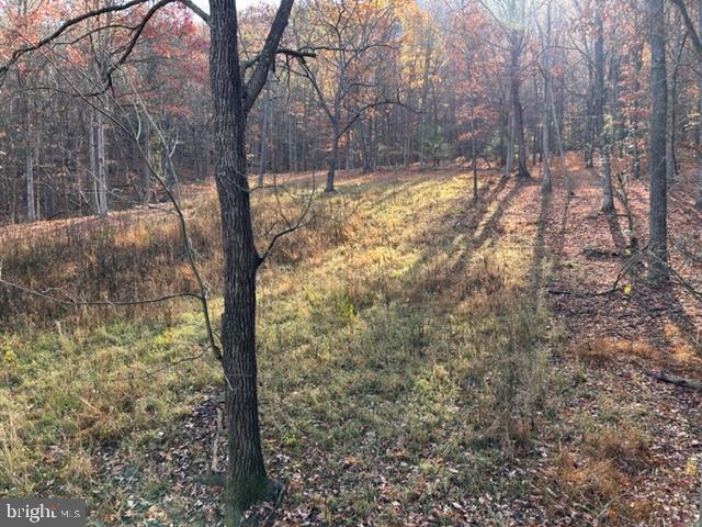 81.5 Acres Hopkins Gap Rd Property Photo 50