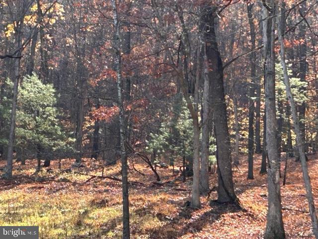 81.5 Acres Hopkins Gap Rd Property Photo 52
