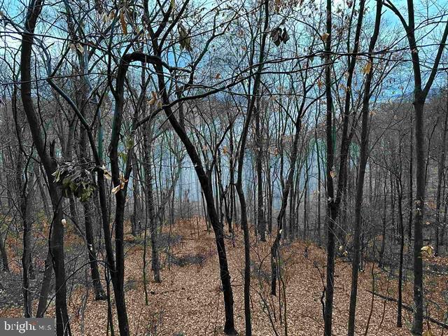 81.5 Acres Hopkins Gap Rd Property Photo 53