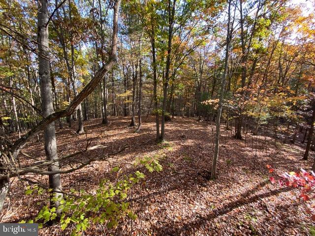 81.5 Acres Hopkins Gap Rd Property Photo 54