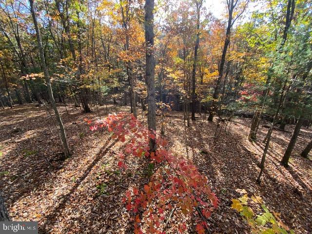 81.5 Acres Hopkins Gap Rd Property Photo 55