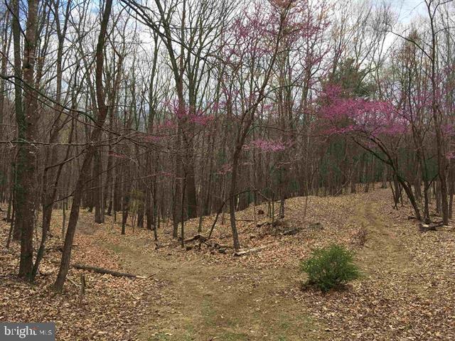 81.5 Acres Hopkins Gap Rd Property Photo 56