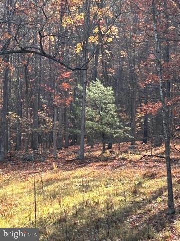 81.5 Acres Hopkins Gap Rd Property Photo 57
