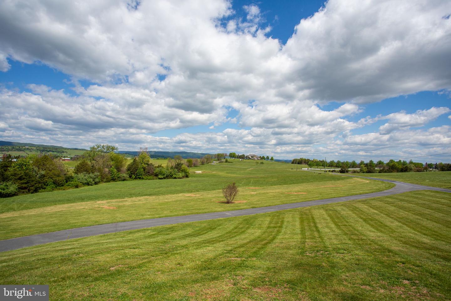 10005 Bonny Brae Ln Property Photo 60