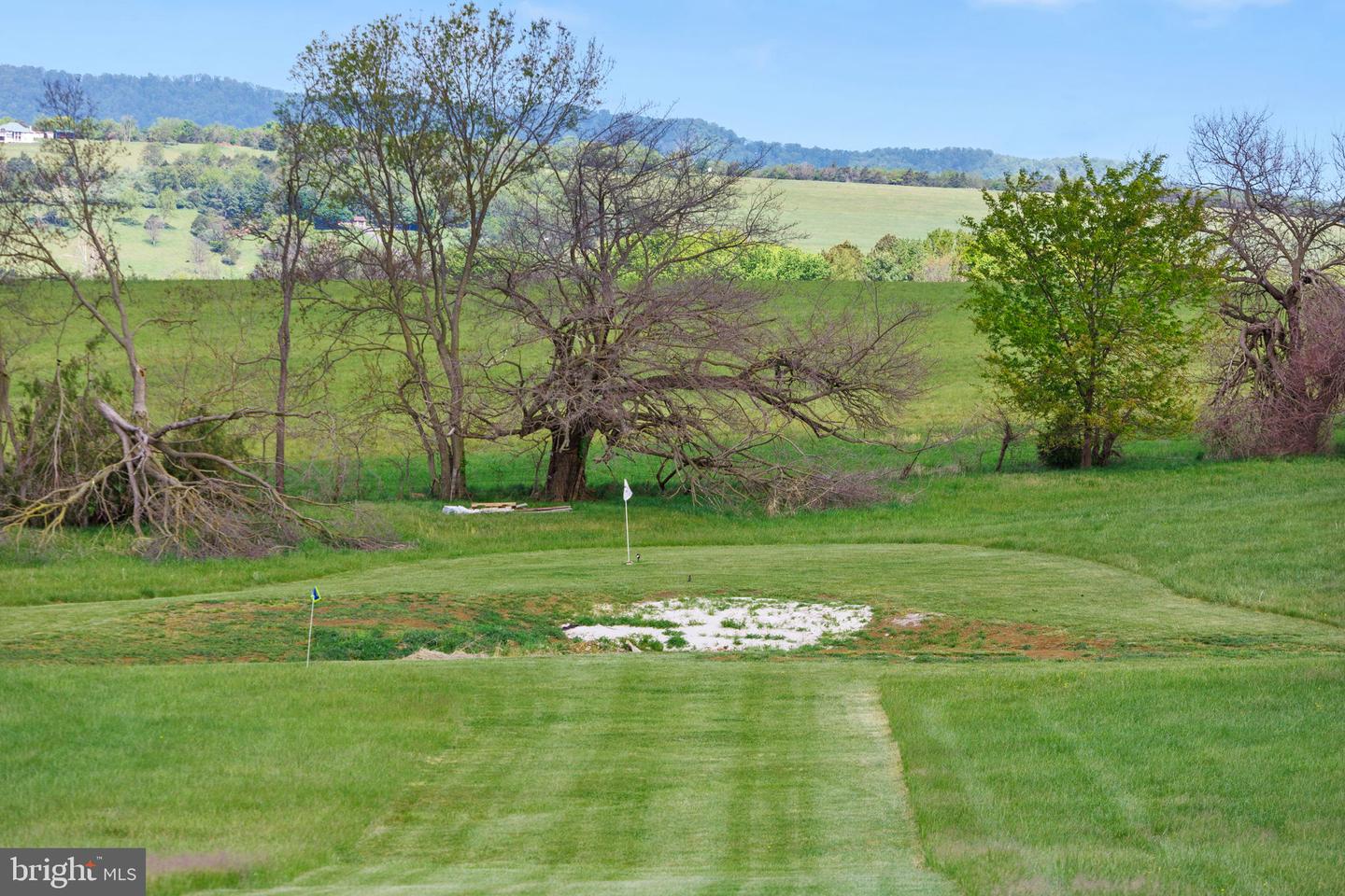 10005 Bonny Brae Ln Property Photo 64