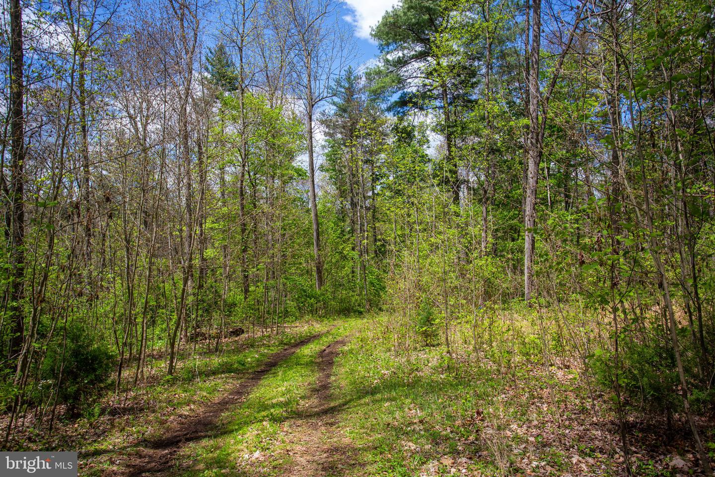 0 Church Mountain Ln Property Photo 2