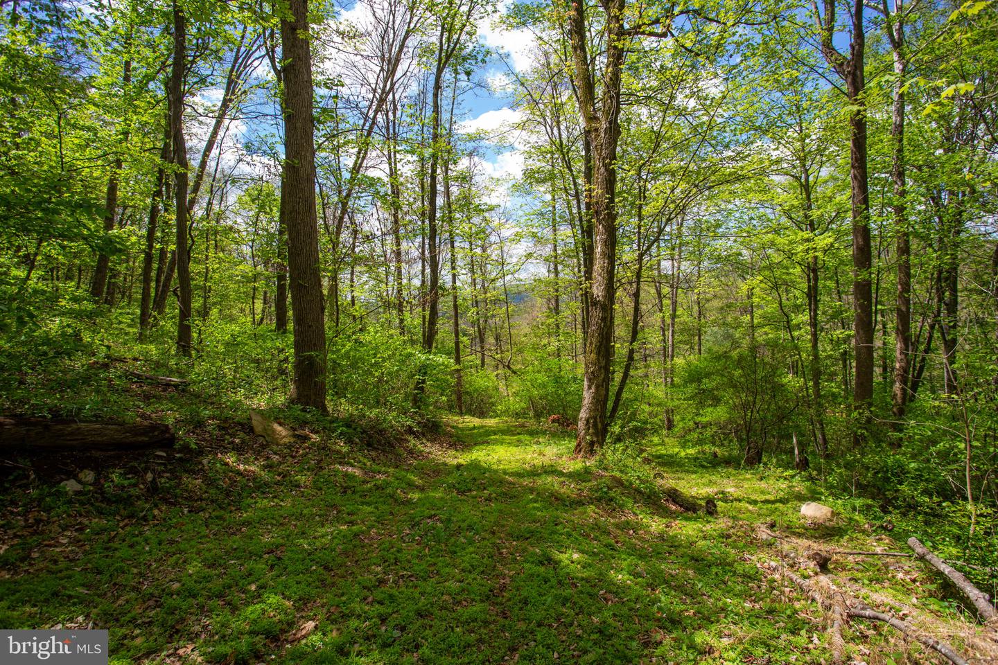 0 Church Mountain Ln Property Photo 3