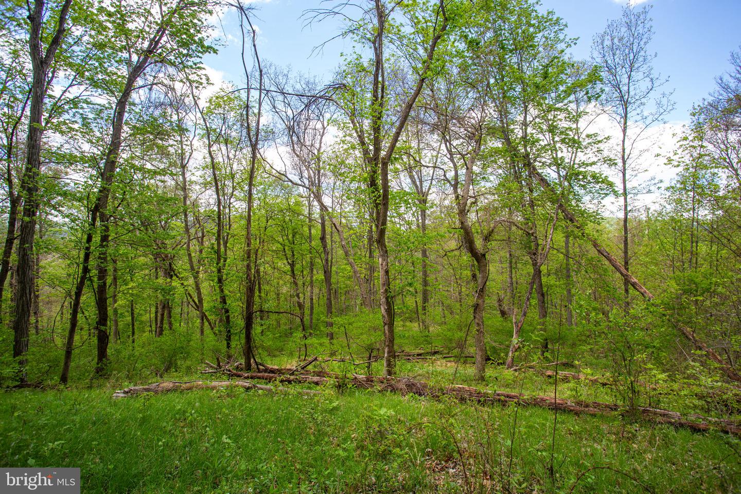 0 Church Mountain Ln Property Photo 4