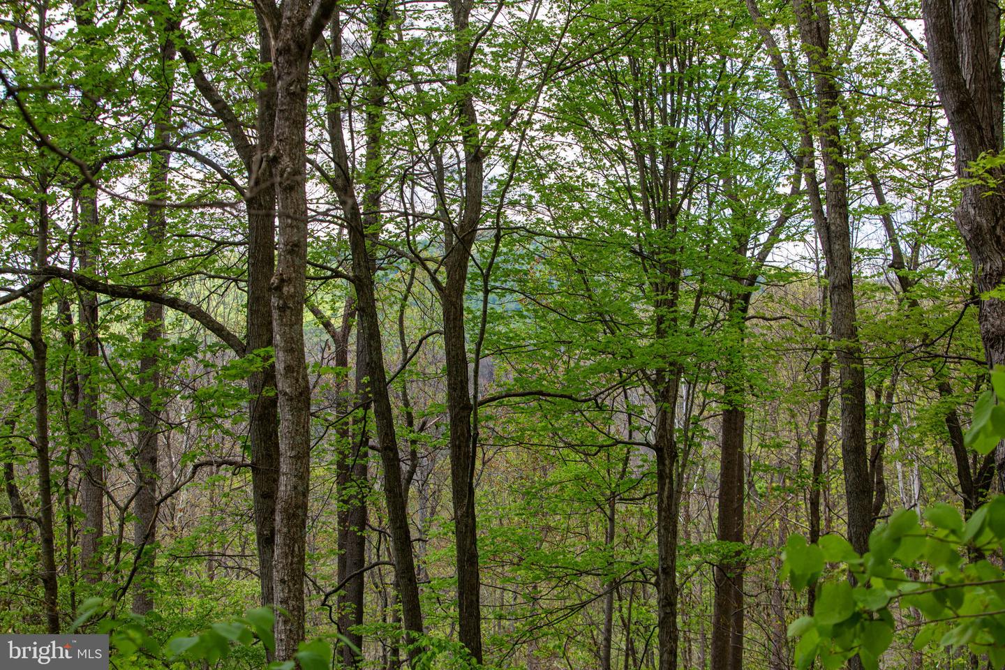 0 Church Mountain Ln Property Photo 5