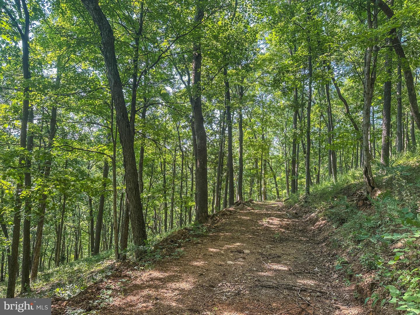 Church Mountain Ln Property Photo 6