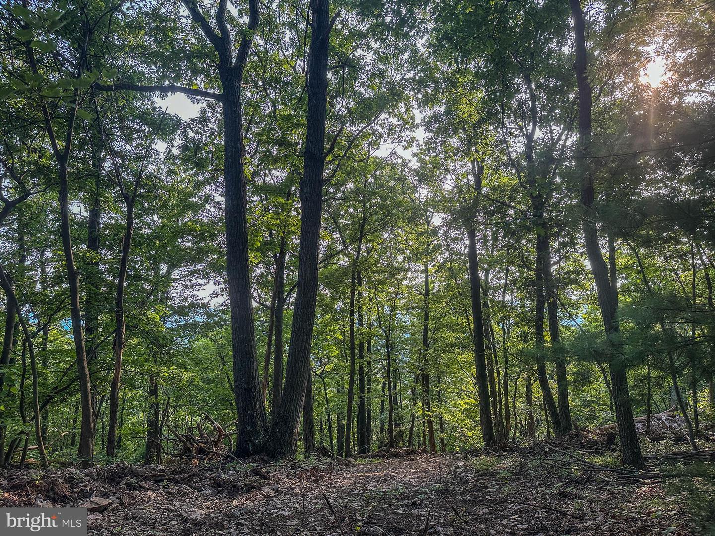 Church Mountain Ln Property Photo 9