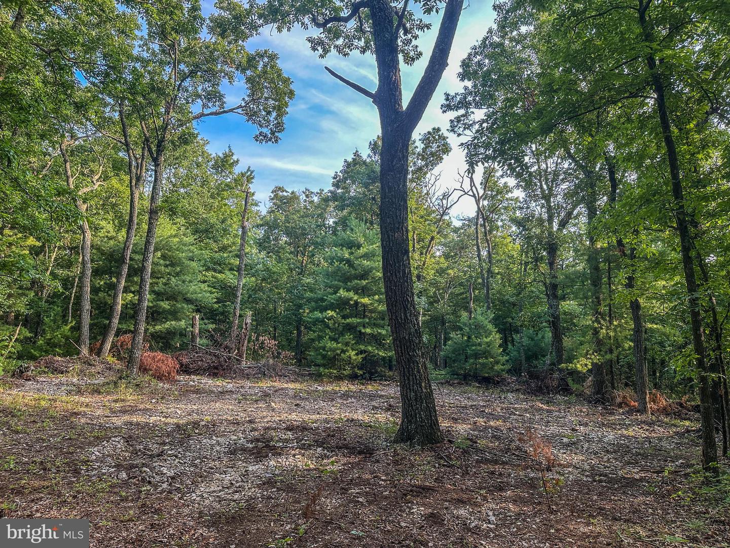 Church Mountain Ln Property Photo 11