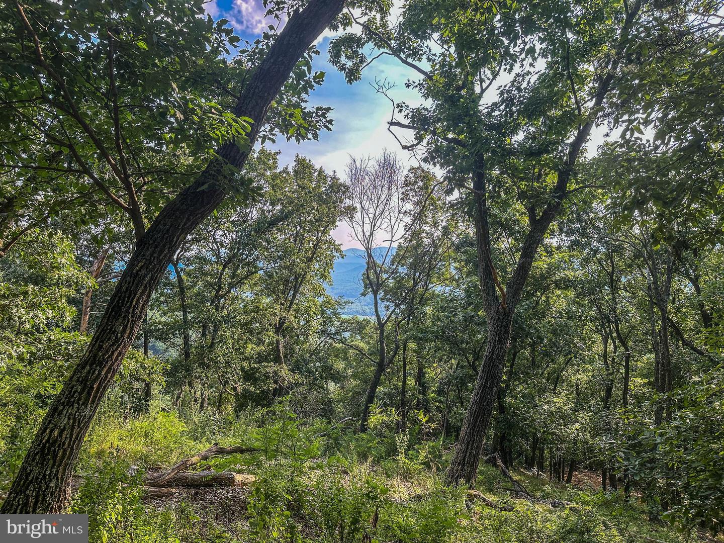 Church Mountain Ln Property Photo 13