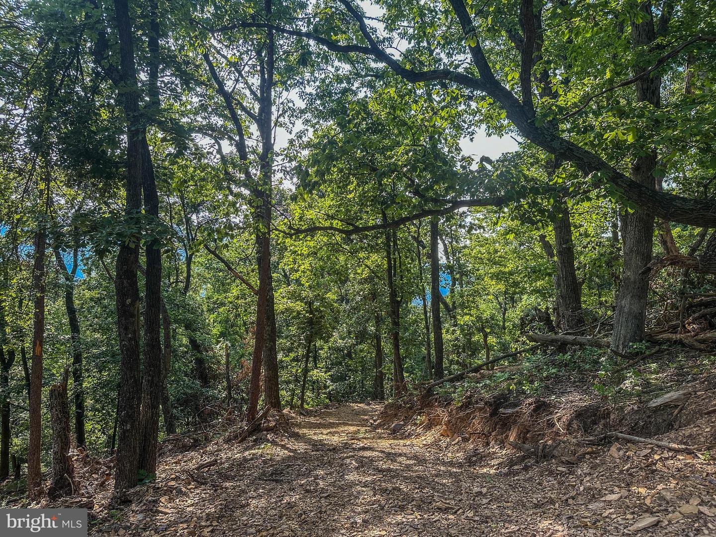 Church Mountain Ln Property Photo 17