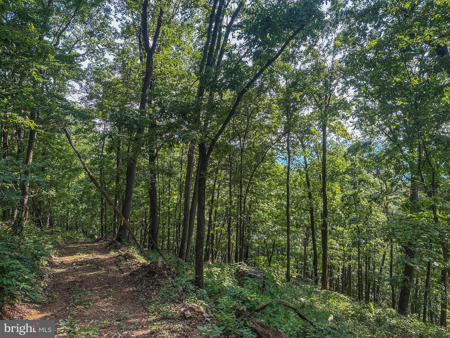 Church Mountain Ln Property Photo 37