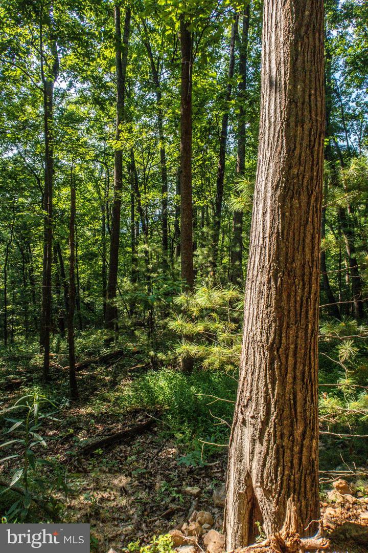 Church Mountain Ln Property Photo 44