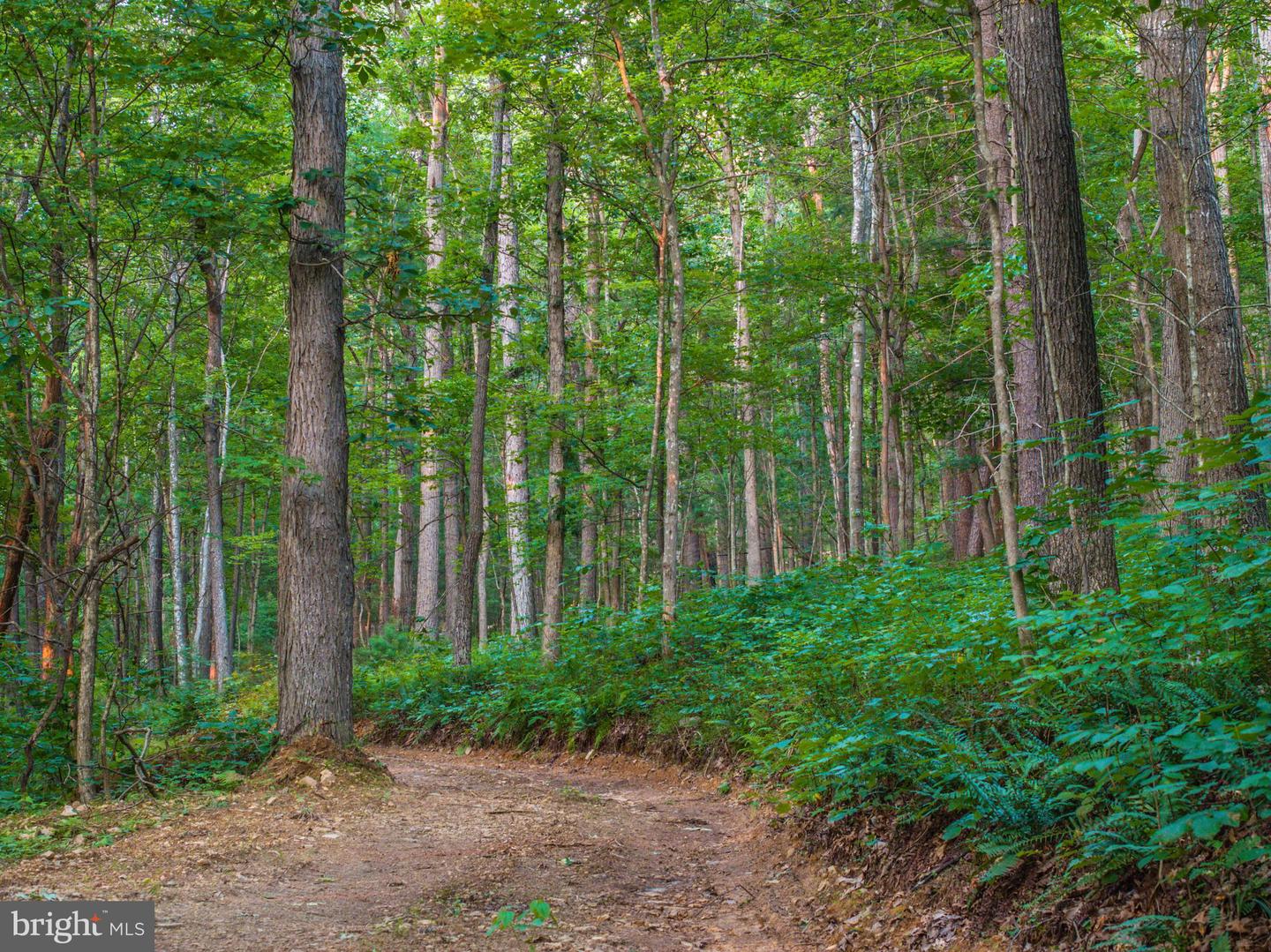 Church Mountain Ln Property Photo 48