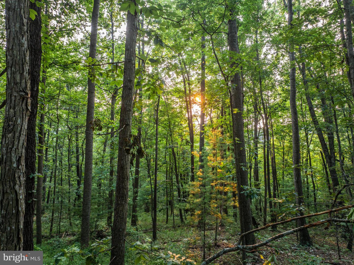 Church Mountain Ln Property Photo 50