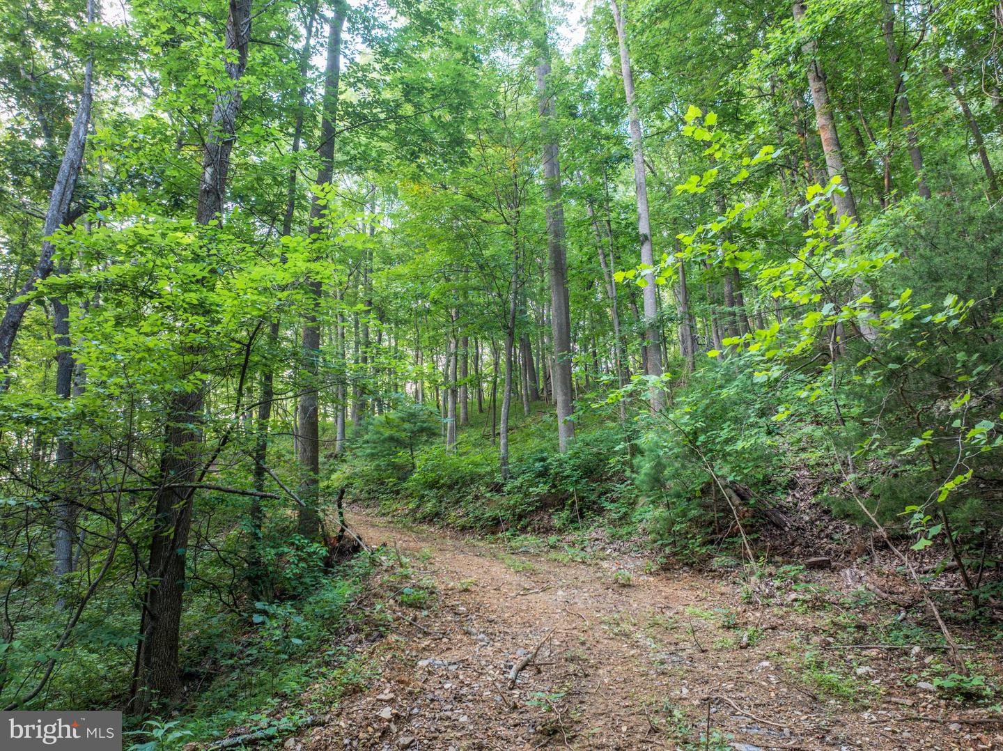Church Mountain Ln Property Photo 53