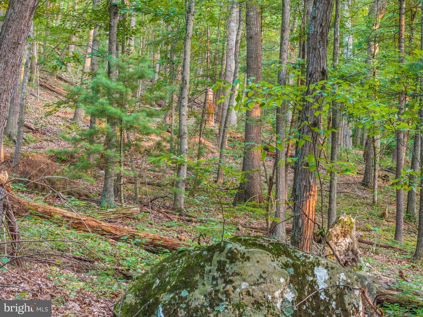 Church Mountain Ln Property Photo 57