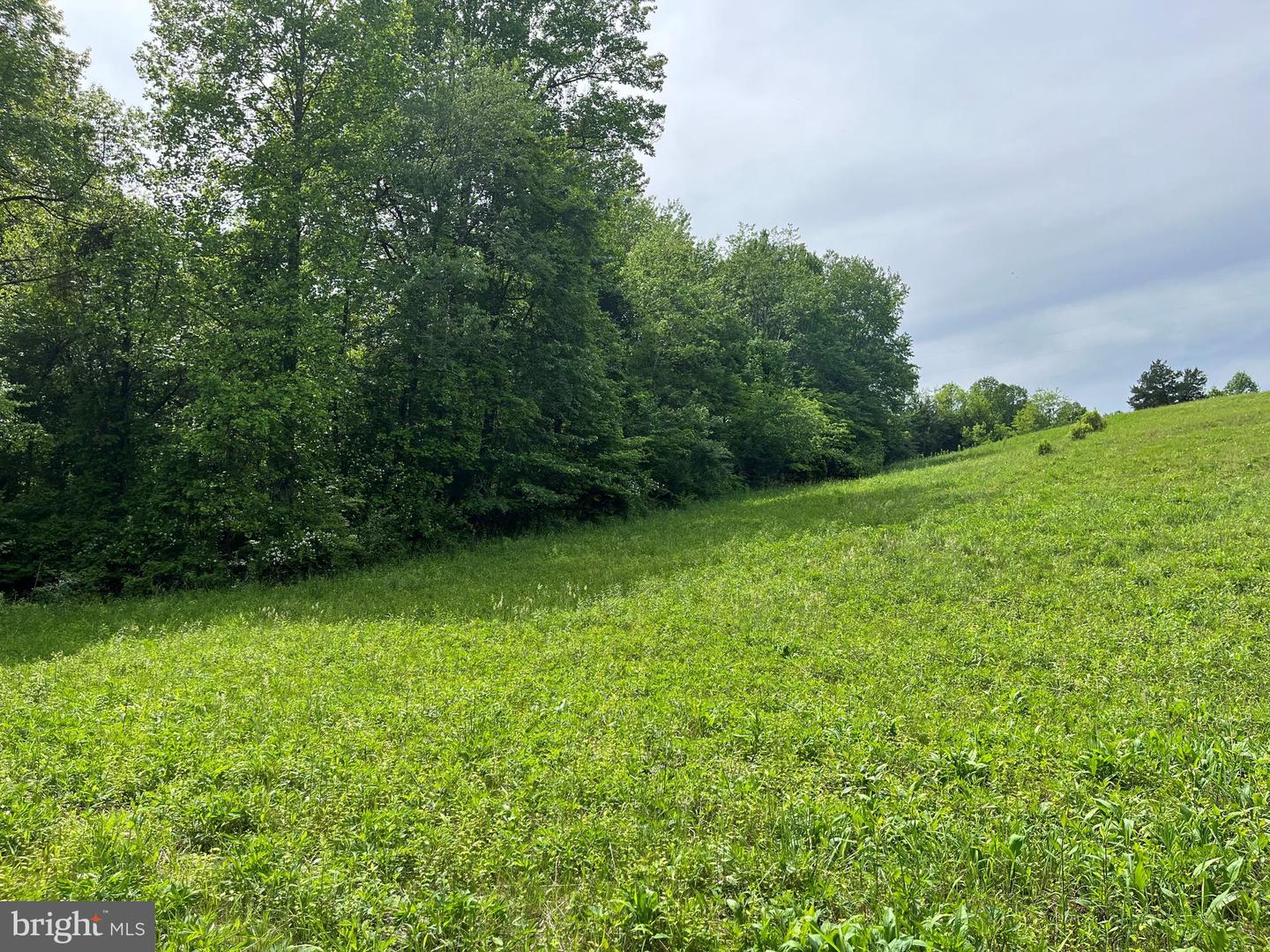 0 Slate Mills Property Photo