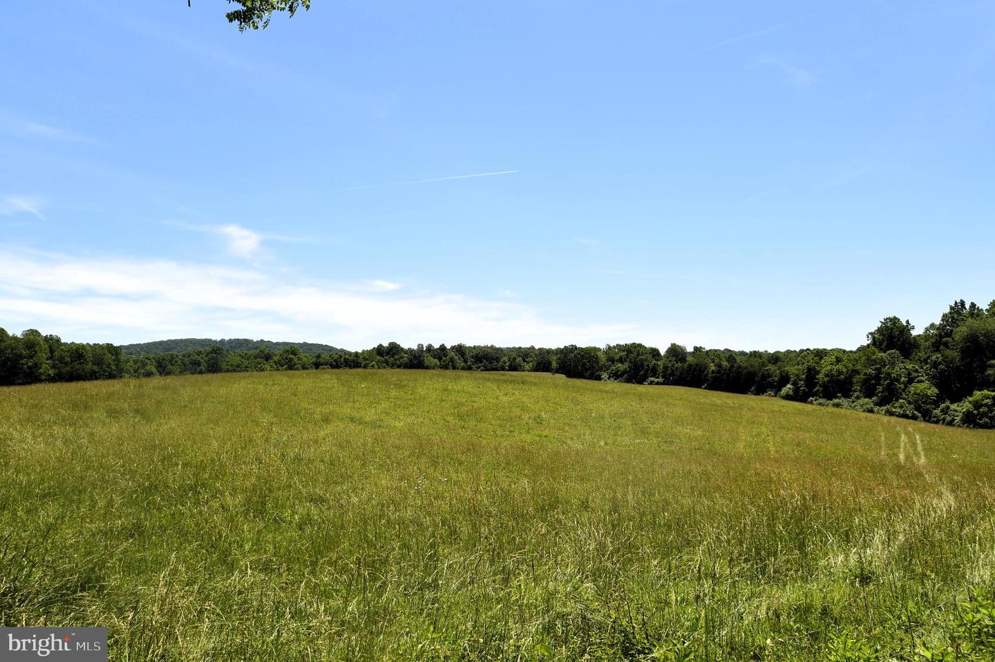 Slate Mills Road Property Photo 6