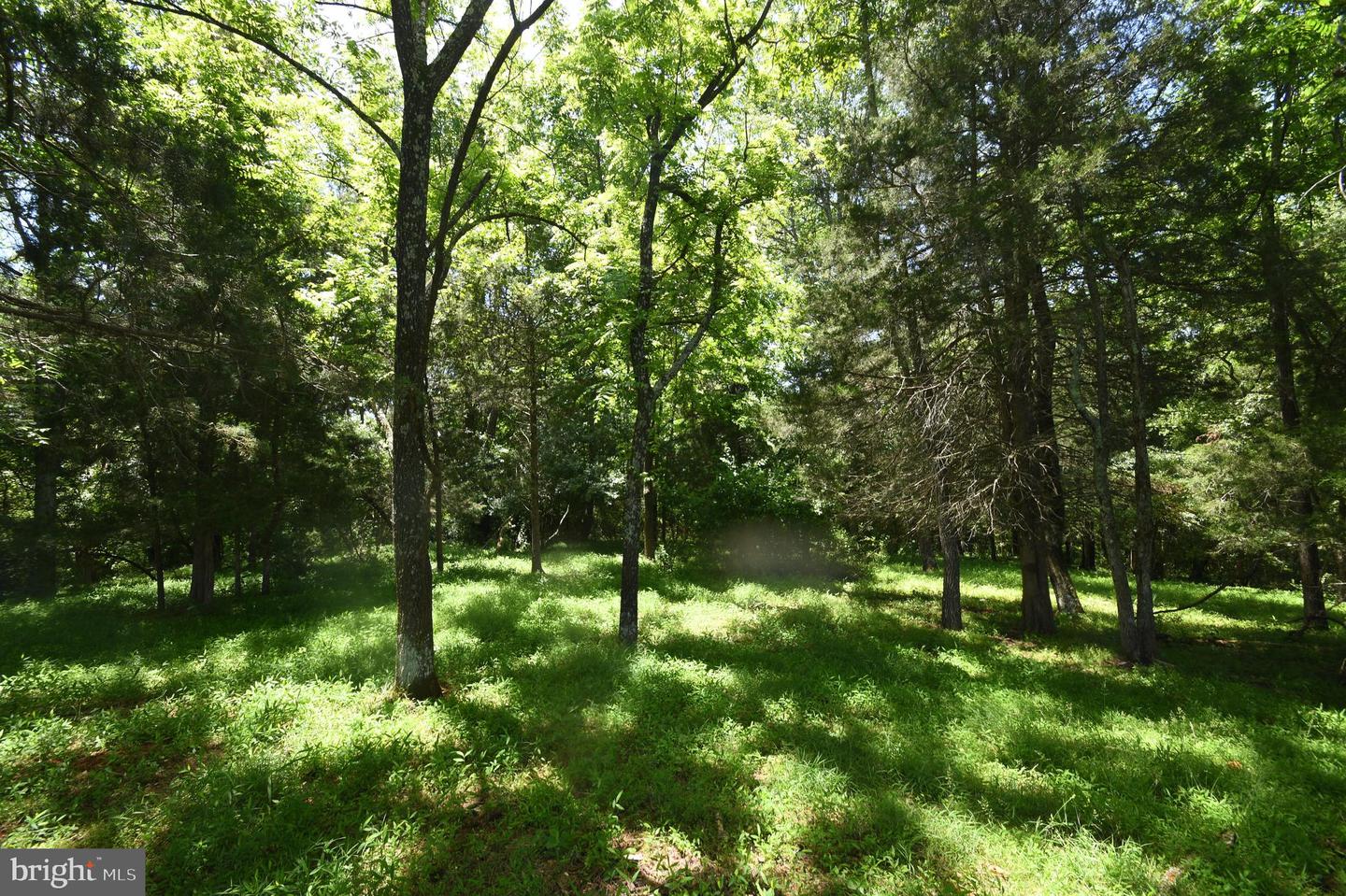Slate Mills Road Property Photo 9