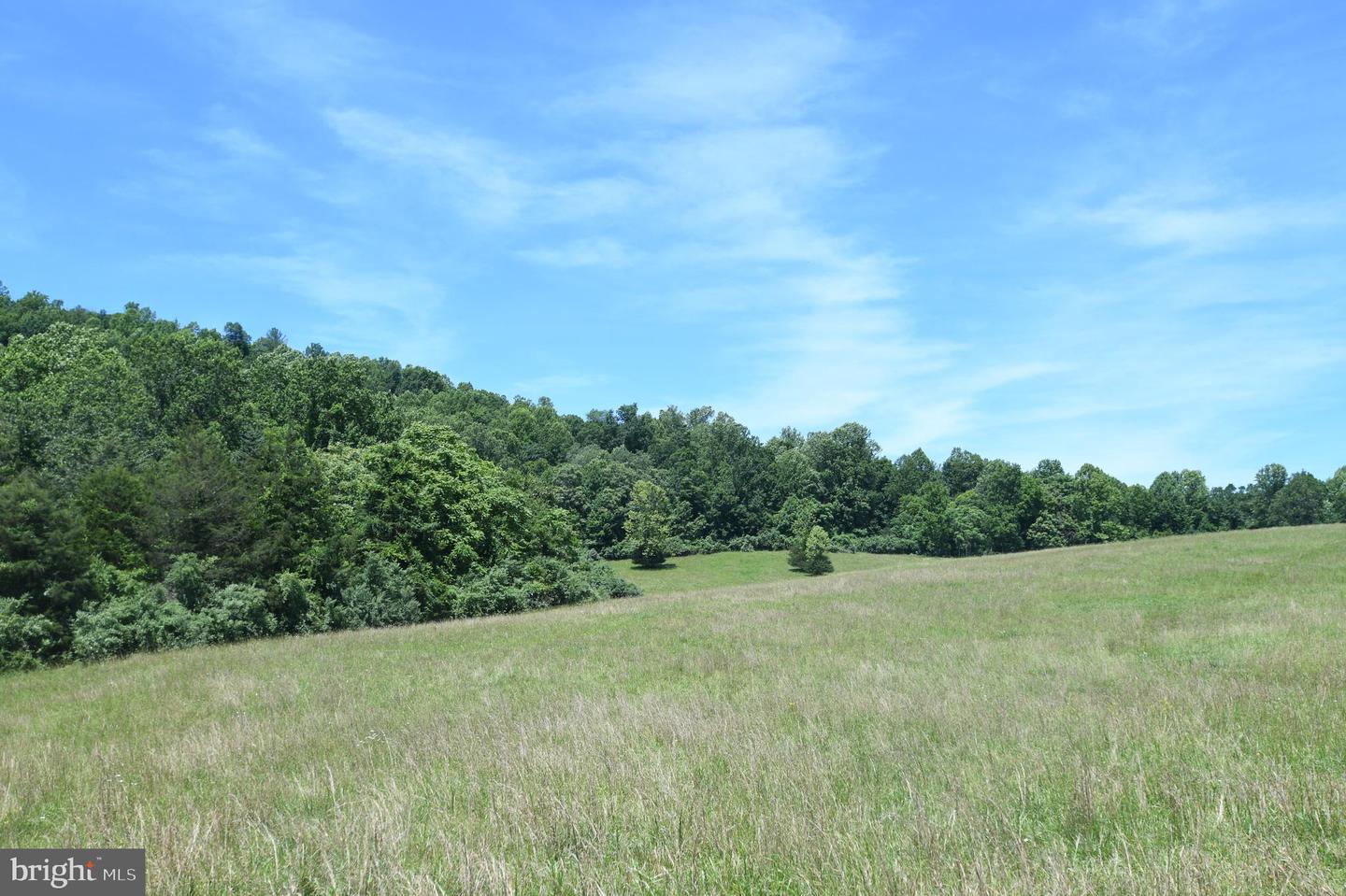 Slate Mills Road Property Photo 11