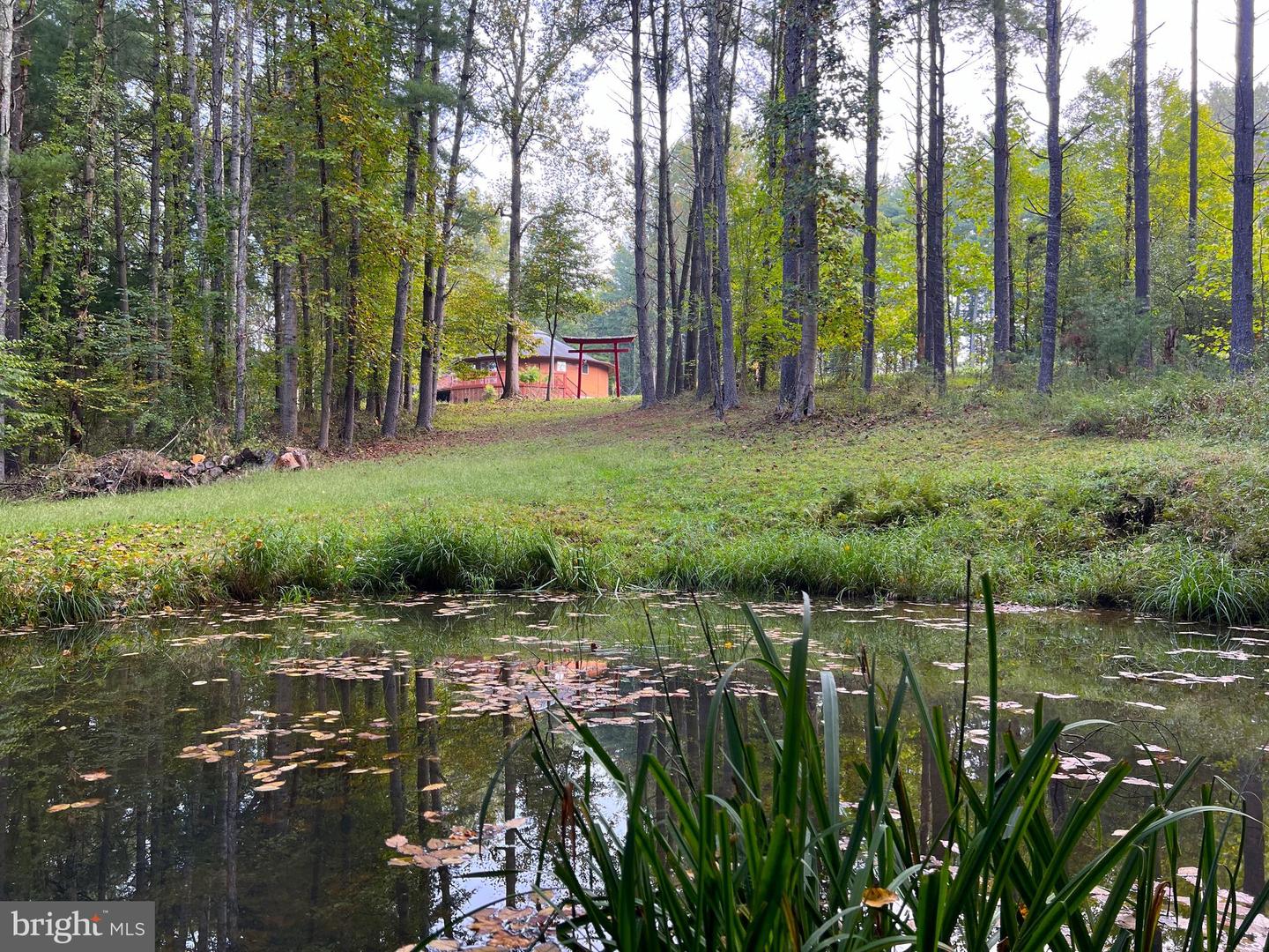 243 Aaron Mountain Rd Property Photo 4